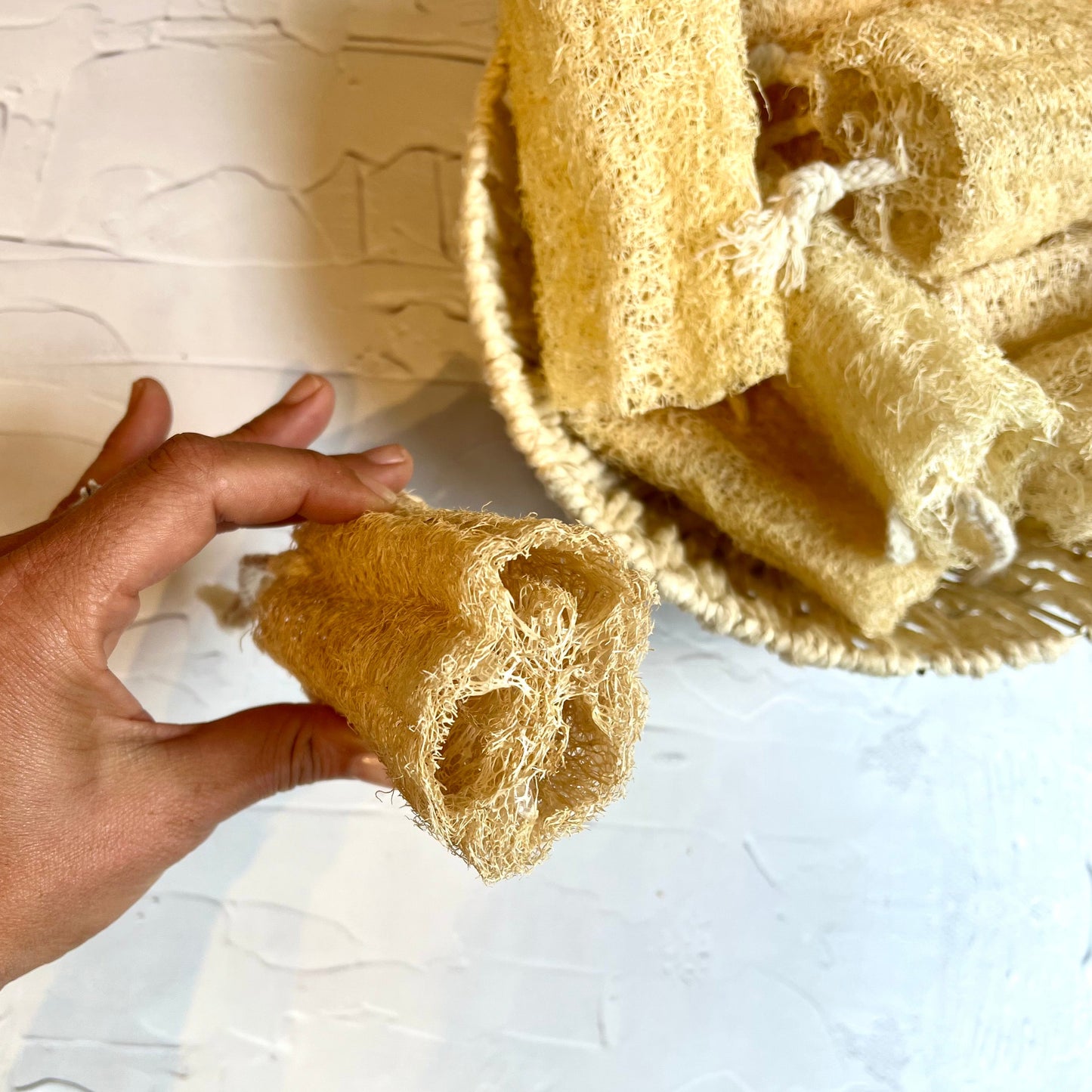 Luffa Esponja Vegetal