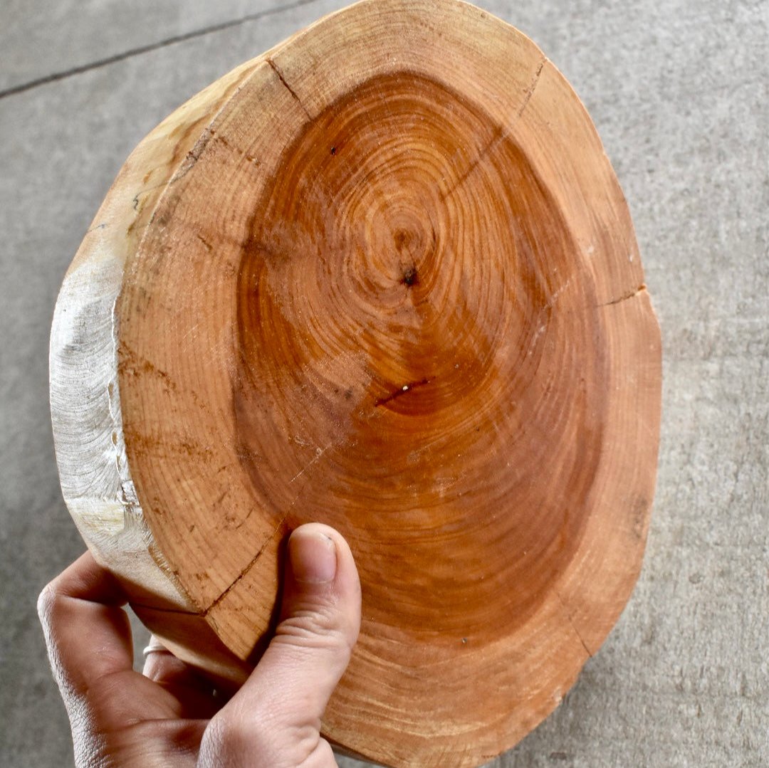 Base Rodela Madera