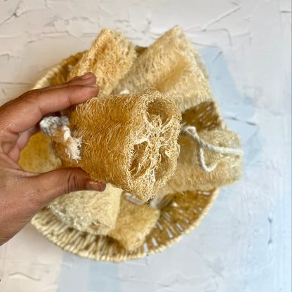 Luffa Esponja Vegetal