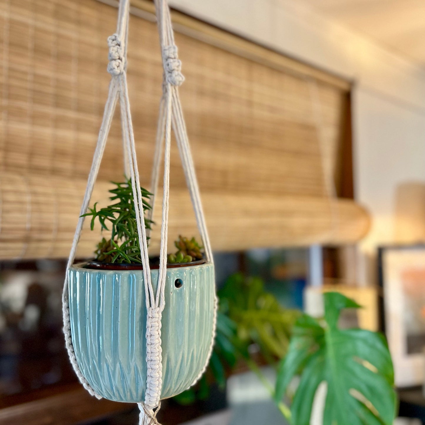 Colgador Planta Macramé
